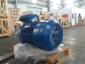 Động cơ chân đế Elecktrim EM132M-4 7.5Kw